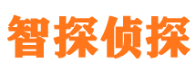 偃师市侦探公司